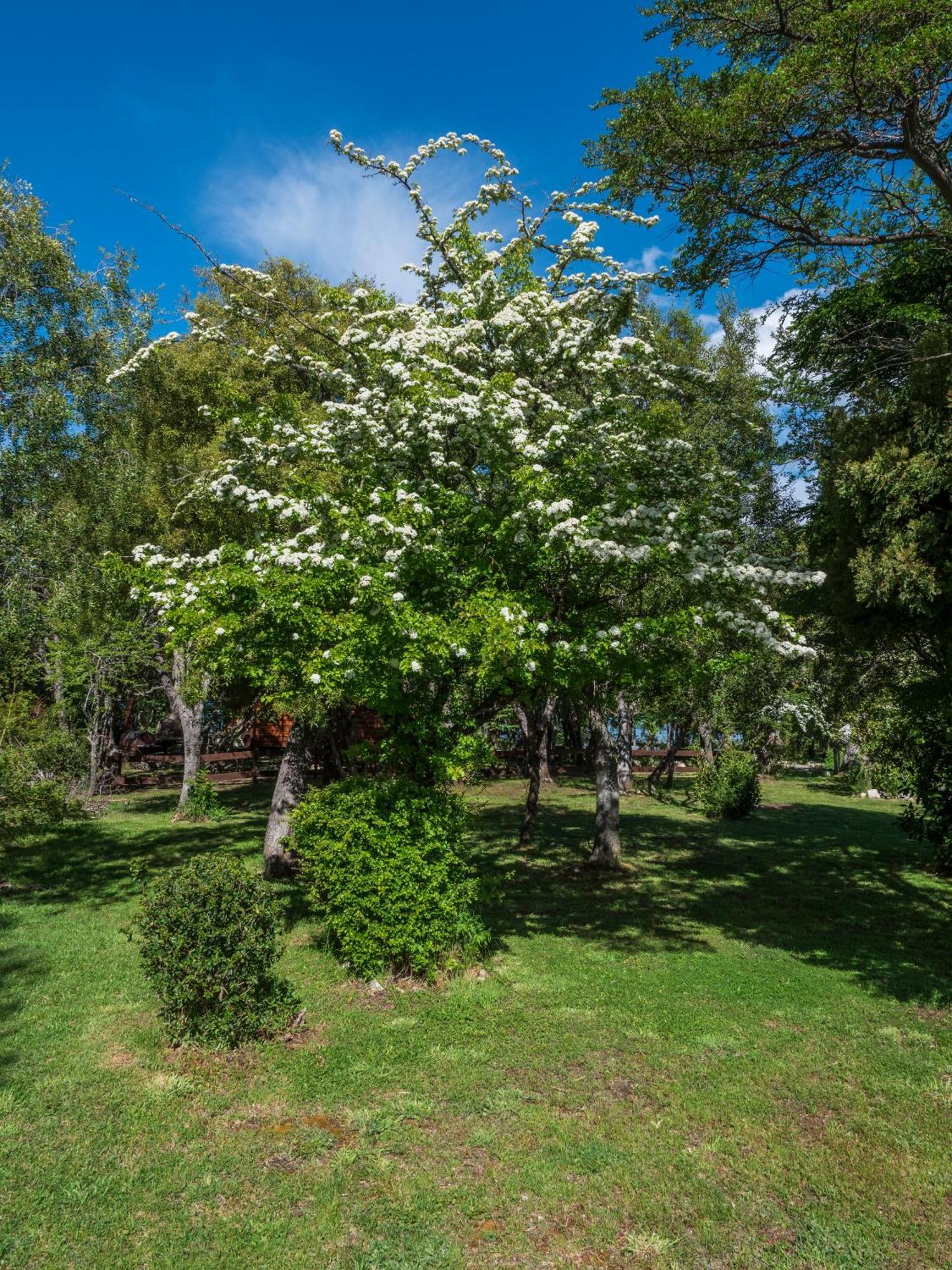 La Huala Villa San Carlos de Bariloche Eksteriør billede